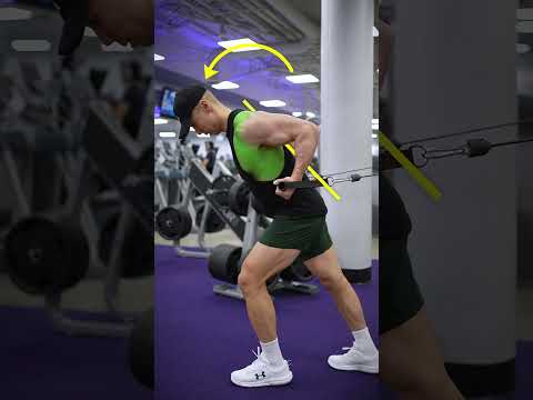 Bayesian Curl Complete Guide thumbnail