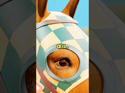 Pourquoi les chevaux portent-ils des œillères ? 😮 thumbnail