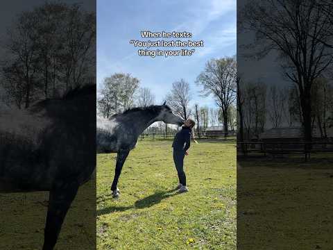 Thought I lost him forever 😮‍💨 #equestrian #horsegirl #horserider #horses #horse #stallion thumbnail