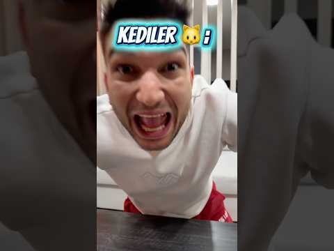 Kedi ve köpekler tatlı yeme ￼ thumbnail