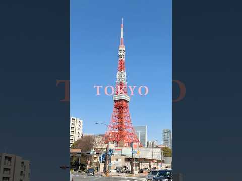 BLACKPINK WORLD TOUR [DEADLINE] IN TOKYO 🗼 thumbnail