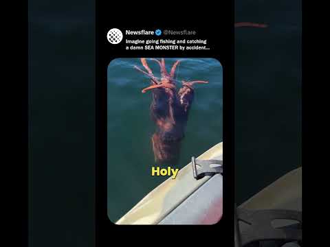 He Caught A GIANT Octopus (by accident) thumbnail