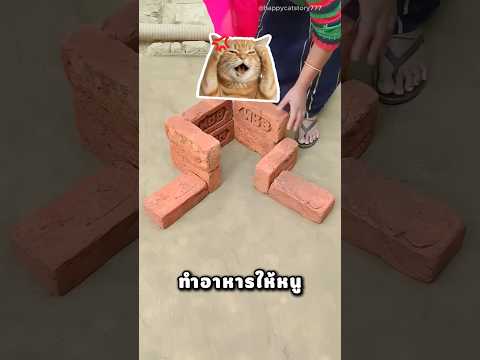 แม่ ไหนบอกจะทำอาหารให้หนูไง thumbnail
