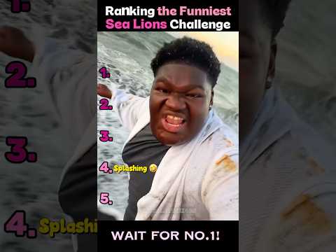 Ranking The Funniest Sea Lion Challenge Moments ? #shorts #challenge #sealion #fail thumbnail