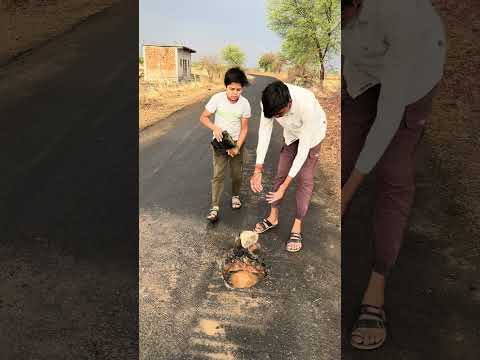 Road safety ! #help thumbnail