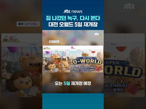 '가출 늑대' 늑구, 두 달여 만에 다시 만난다…대전 오월드 5일 재개장 #JTBC #Shorts thumbnail