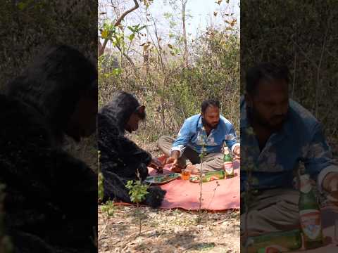 ఎలుగుబంటితో సిట్టింగ్ వేస్తే... ఆ కిక్కే వేరప్పా! thumbnail