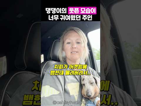 댕댕이의 모습이 짠하지만 너무 귀여웠던 주인 thumbnail