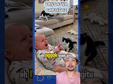 Kembalikan dot adek!!!? #comedy #funny #shortfeed thumbnail