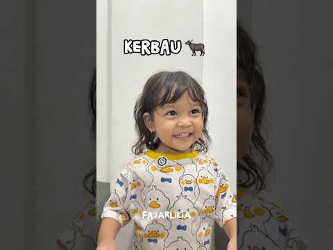 MACAM-MACAM HEWAN KURBAN #dramangakak thumbnail