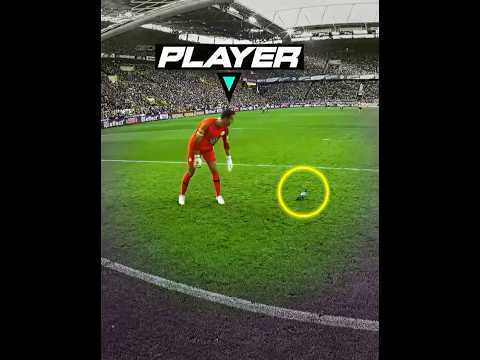 Animals vs Players + THEM thumbnail