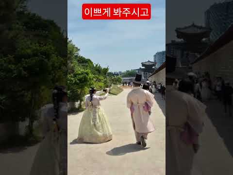한복사랑 이쁘게 봐주시고 아껴주시고 성원해주세요 #영탁본색 #주시고#경복궁 #한복나들이 #한복사랑 #안중태tv #shorts thumbnail