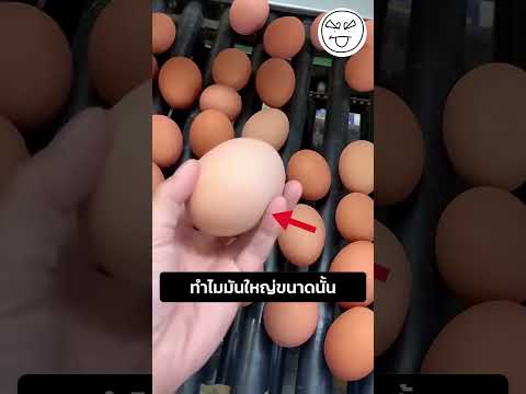 ทำไมมันใหญ่ขนาดนั้น thumbnail