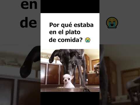 Mi primer doblaje sin dinero para el pasaje #humor thumbnail