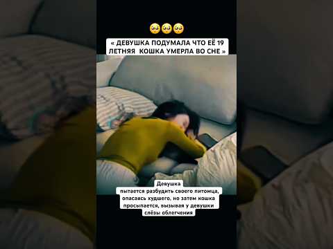 Спустя мгновение выясняется, что животное просто очень крепко спало😮‍💨🤭#рек#кошка#животное #лайк thumbnail