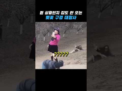 벚꽃놀이가 이렇게 위험하다고? thumbnail