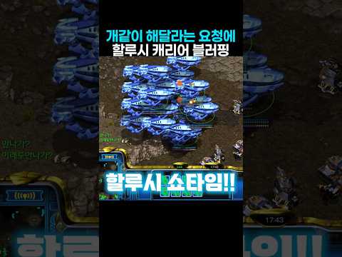 개같이 게임 해달라는 어쩔 수 없는 요청에 출동한 할루시 캐리어 thumbnail