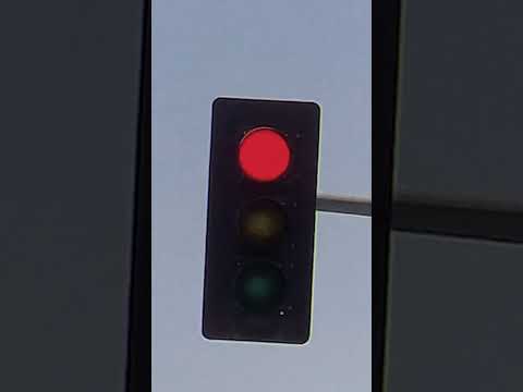 🛑 or 🚦? thumbnail
