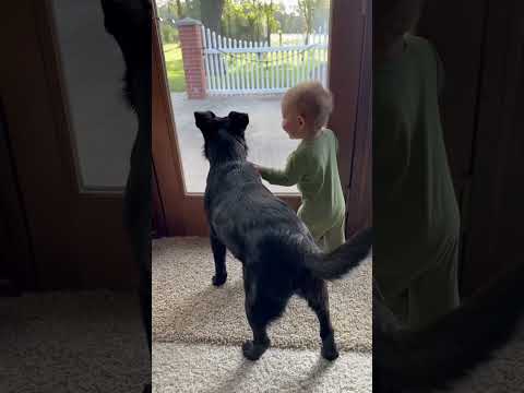 #love #baby thumbnail