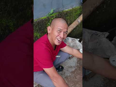 Mama Ara Kaget Papa Samperin  Anjing Yg Kakinya Sakit Ketabrak Mobil Papa. Anjingnya Takut Trauma?? thumbnail