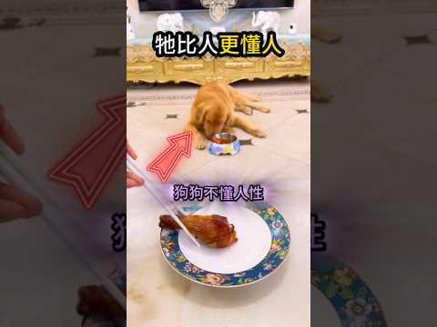你就吃我的吧?請你放下執念☺️ thumbnail
