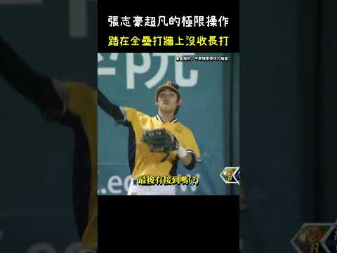 張志豪生涯至今最經典的守備之一 Baseball Superhuman Play  #CPBL #中華職棒 #Baseball #張志豪 #羅國龍 thumbnail