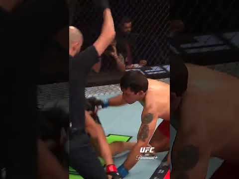 Right on the chin! #ufcmacau thumbnail