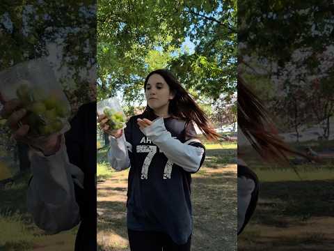 Ağaçtan bir sürü erik topladım #shortvideo #shortvideos #shorts #gaming ￼ thumbnail