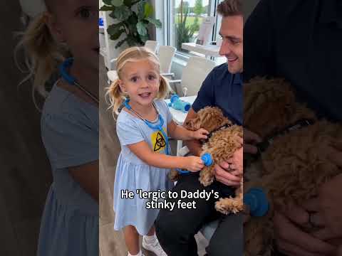 The dog is royalty, the dad is the "allergen." thumbnail