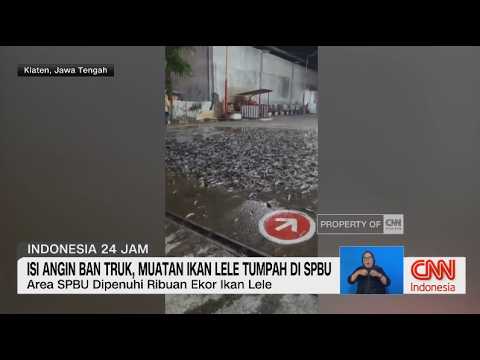 Isi Angin Ban Truk, Muatan Ikan Lele Tumpah di SPBU thumbnail