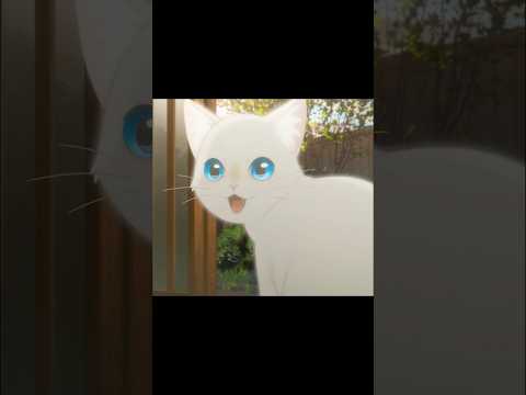 仮面をつけて、猫に変身？ ?#shorts thumbnail