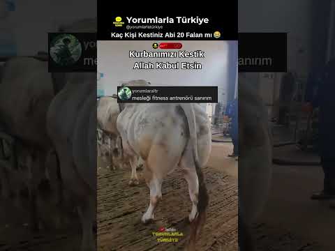 Sporcu Kurbanlık 😂 thumbnail