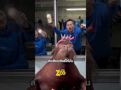 เมื่อเจ้าวอรัสตอนโดนเซอร์ไพรส์วันเกิด thumbnail
