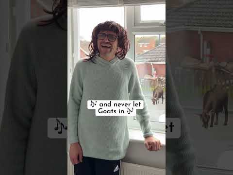 Never let goats in windows 😂 #misheardlyrics thumbnail