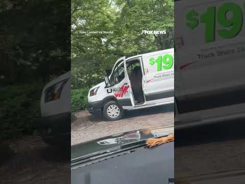 SEE IT: Bear in North Carolina was recorded breaking into a parked U-Haul van #shorts #news #usa thumbnail