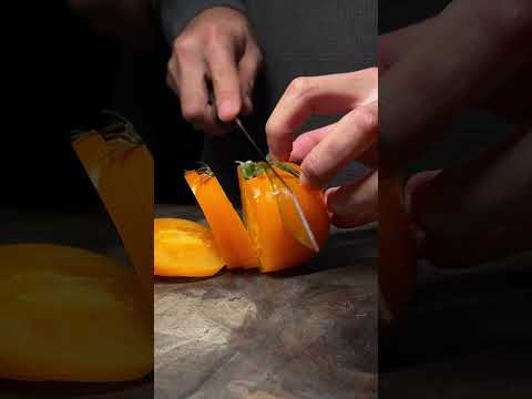 Rui “The Star” Kiritsuke slicing up organic tomatoes  #fyp #satisfying #kitchenknife #japaneseknife thumbnail
