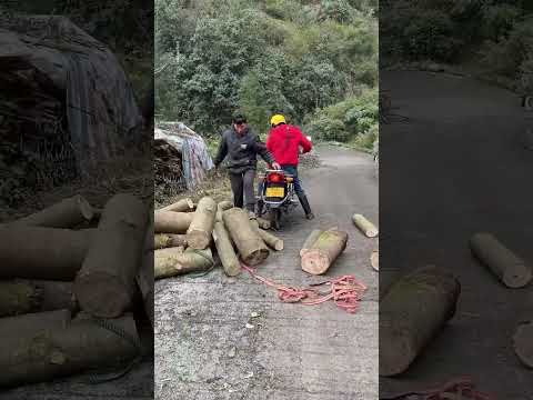 The older brother's motorcycle got stuck in a ditch thumbnail