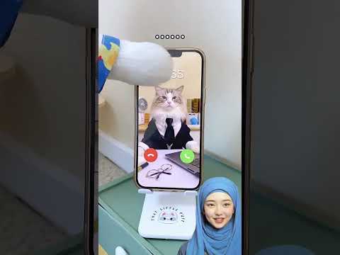 Lagi libur pak bos telfon ‼️ ThatLittlePuff thumbnail