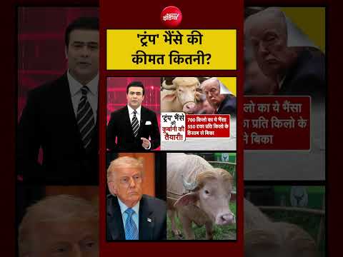 Syed Suhail | Bakrid | Eid al-Adha: 700 KG के 'Trump’ भैंसे की कीमत कितनी है? | #shorts #viral thumbnail