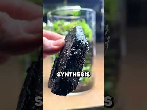 This Jar Can Sustain Itself Forever 🤯 thumbnail