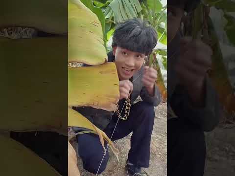 小风帮爸爸处理麻烦，没想到爸爸居然这样对他！#shorts #funny #搞笑 thumbnail