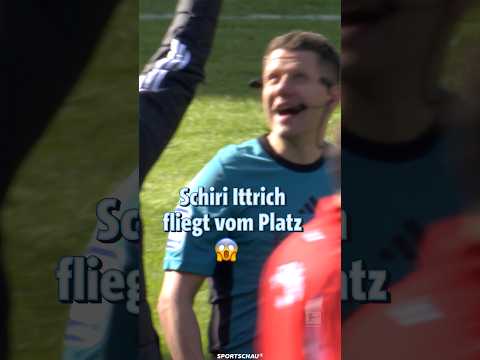 Rote Karte für den Schiri | Sportschau #shorts thumbnail