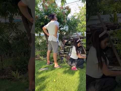 "It Wasn't Me... This Accusation Is Cruel 😂" #funny #comedy #shortvideo #laugher #prank thumbnail