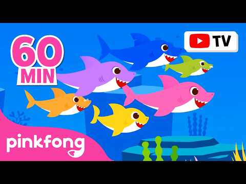 Baby Shark Dance More and More | Doo Doo Doo 60 Min | Baby Shark Non-Stop | Pinkfong Official thumbnail