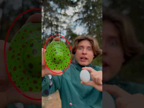 TIRE UN HUEVO DE DINOSAURIO POR UNA CALLE EMPINADA REBOTO Y EXPLOTO ?? thumbnail