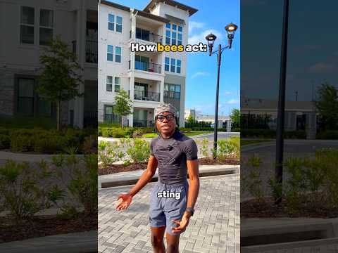 Bee’s Vs Wasp 😂 thumbnail