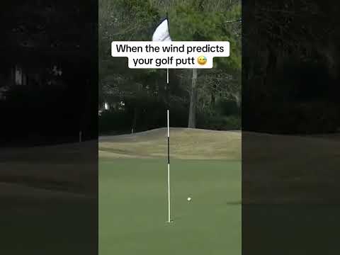 Patience is key ⌛ (via TexasWGolf/X) thumbnail