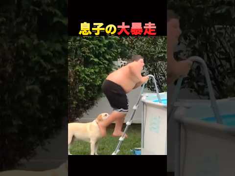 甘やかしすぎ注意。 thumbnail