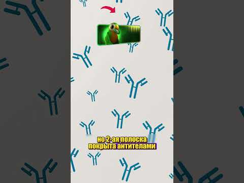@zackdfilms КАК ОПРЕДЕЛИТЬ thumbnail