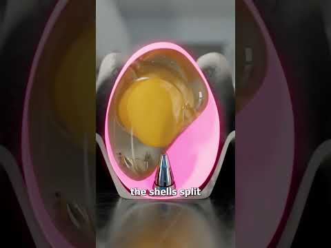 How Ghostbusters Made Eggs Explode 😮 thumbnail